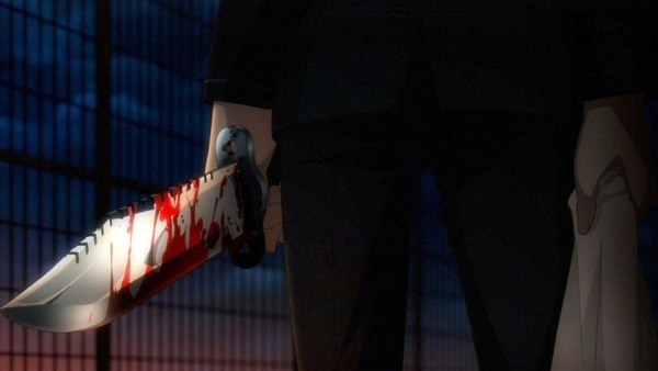 FateZero (1)