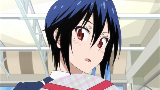 ニセコイ：(2期) (12)