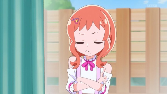 「わんだふるぷりきゅあ!」わんぷり 33話感想 (20)