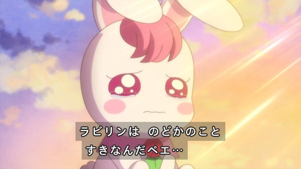 「ヒーリングっど♥プリキュア」2話感想 画像 (46)