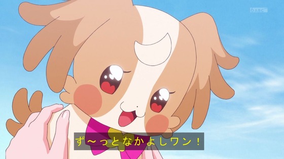 「わんだふるぷりきゅあ!」わんぷり 50話感想 (70)