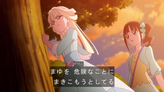 「わんだふるぷりきゅあ!」わんぷり 17話感想 (93)