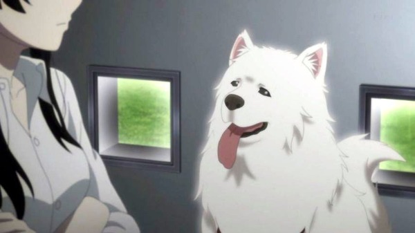 櫻子さんの足下には死体が埋まっている (42)