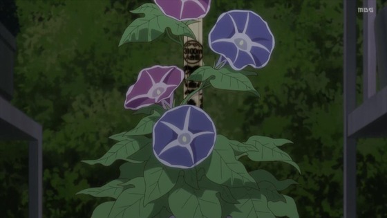 「ヤマノススメ Next Summit」4期 11話感想 (40)