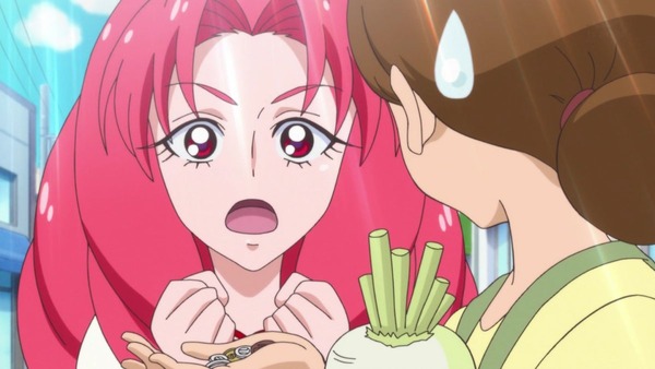 プリンセスプリキュア (23)
