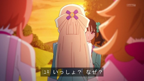 「わんだふるぷりきゅあ!」わんぷり 17話感想 (89)
