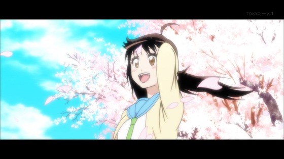 ニセコイ (2)