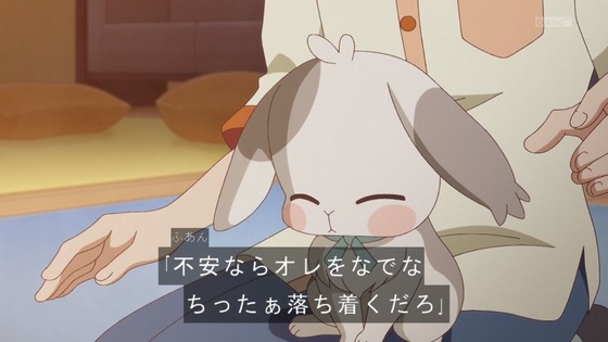 「わんだふるぷりきゅあ!」わんぷり 36話感想 (34)