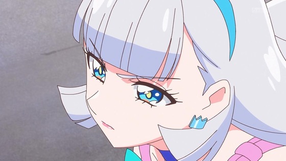 「わんだふるぷりきゅあ!」わんぷり 17話感想 (63)