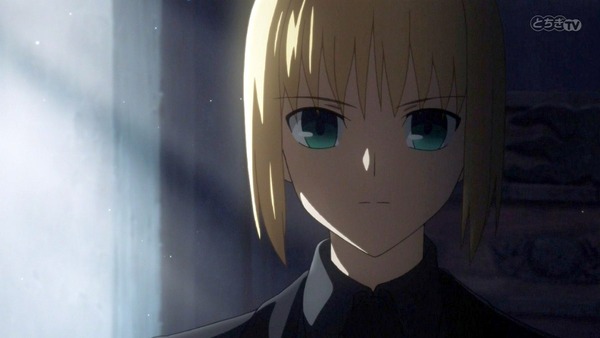 FateZero  (22)