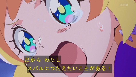 「わんだふるぷりきゅあ！」わんぷり 48話感想 (92)