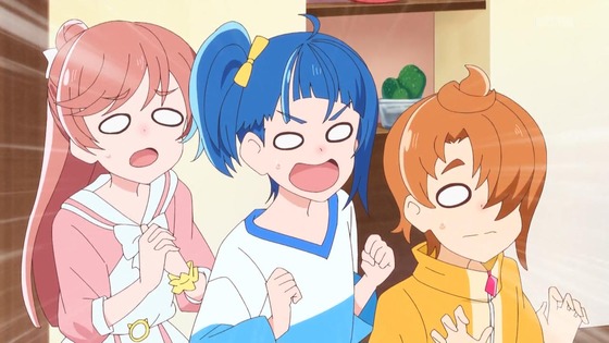 「ひろがるスカイ!プリキュア」ひろプリ 13話感想 (10)