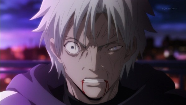 FateZero (49)
