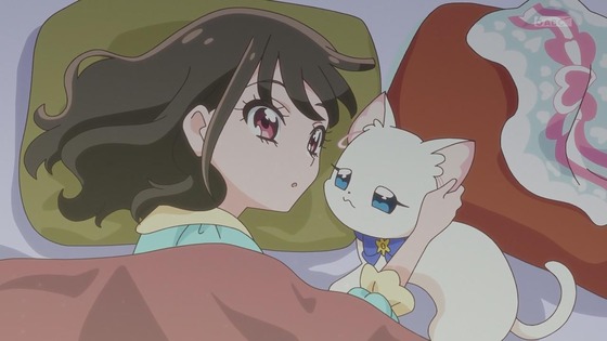 「わんだふるぷりきゅあ!」わんぷり 4話感想 (3)
