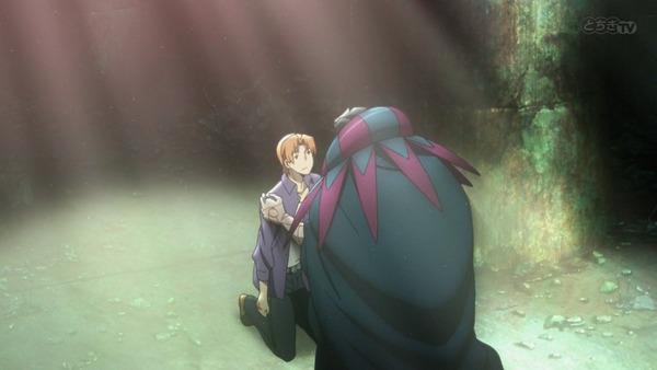 FateZero (27)