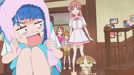 「ひろがるスカイ!プリキュア」ひろプリ 29話感想 (11)