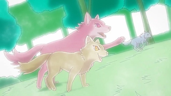 「わんだふるぷりきゅあ!」わんぷり 50話感想 (16)