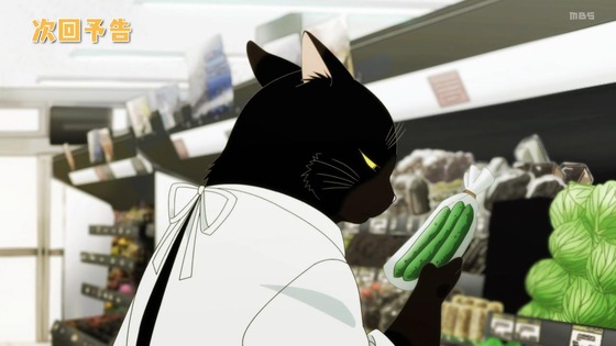 「デキる猫は今日も憂鬱」1話感想 (87)