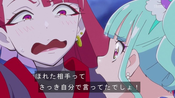 「わんだふるぷりきゅあ！」わんぷり 48話感想 (73)