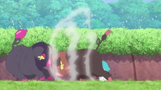 「ポケットモンスター」アニポケ36話感想 (56)