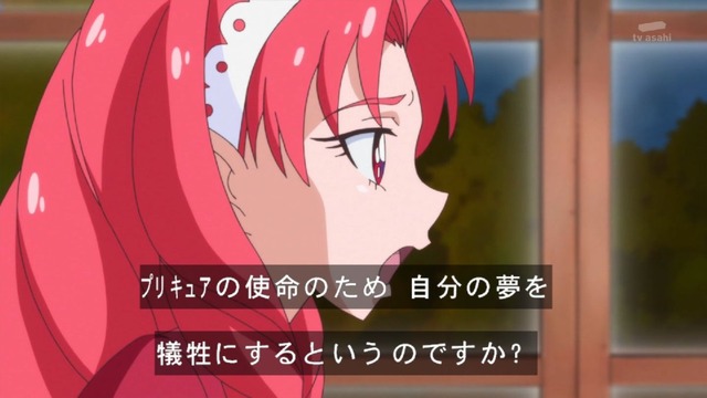 プリンセスプリキュア (17)