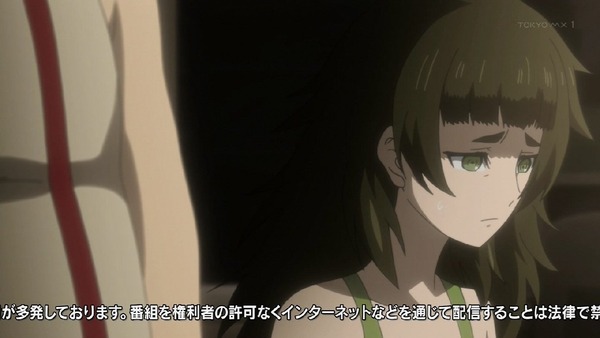 「シュタインズ・ゲート ゼロ」19話感想 (1)