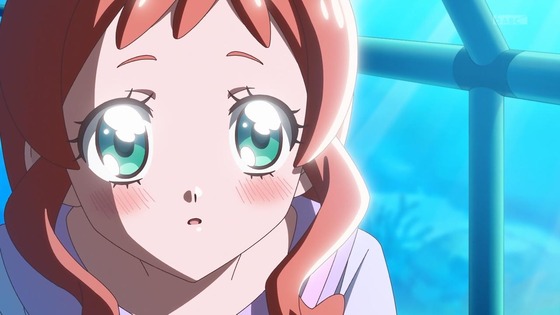 「わんだふるぷりきゅあ!」わんぷり 37話感想 (52)
