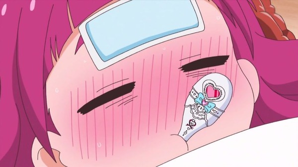 「HUGっと！プリキュア」20話感想 (33)