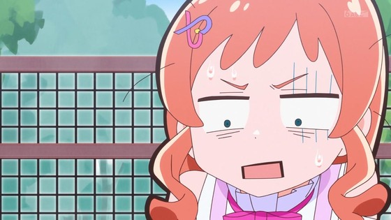 「わんだふるぷりきゅあ!」わんぷり 16話感想 (21)