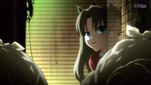 FateZero (36)
