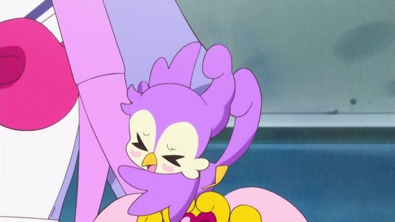 プリンセスプリキュア (15)
