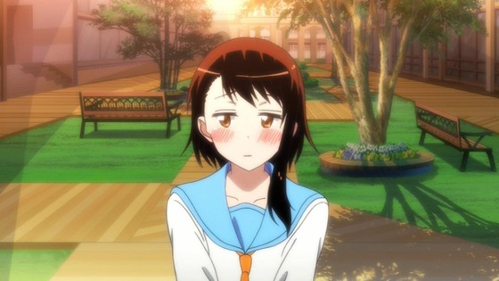 ニセコイ：(2期) (55)