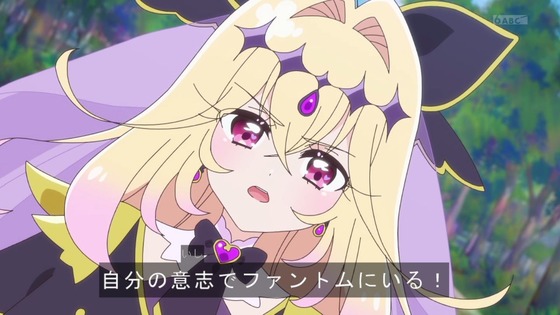 「名探偵プリキュア！」15話感想 (41)