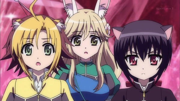 DOG DAYS″ (13)