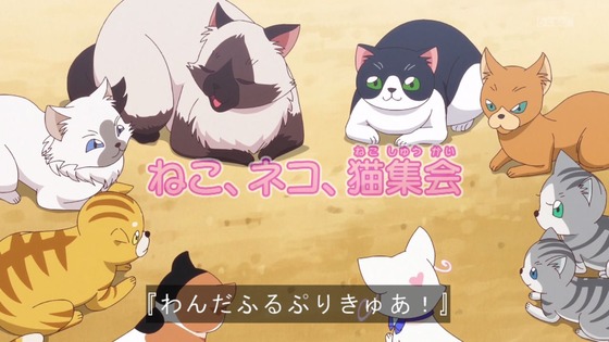 「わんだふるぷりきゅあ!」わんぷり 33話感想 (62)