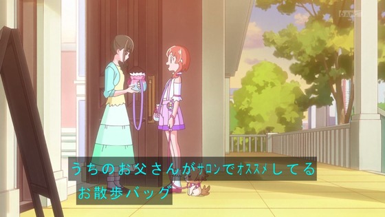 「わんだふるぷりきゅあ!」わんぷり 4話感想 (58)