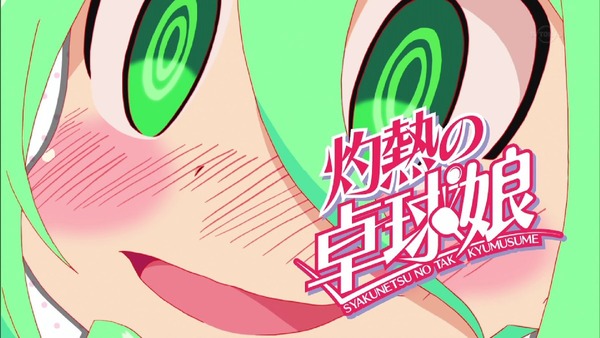 「灼熱の卓球娘」 (29)
