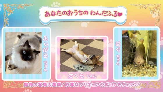 「わんだふるぷりきゅあ!」わんぷり 17話感想 (102)