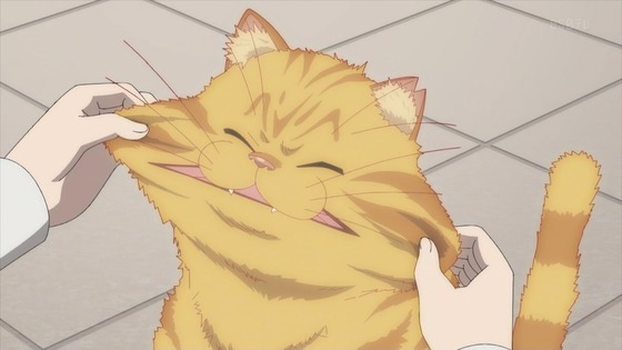 「虚構推理」18話感想 (84)