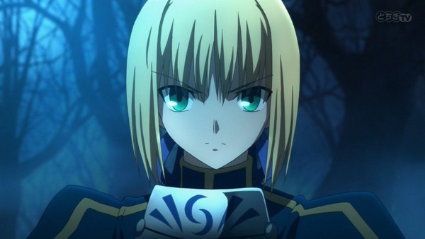 FateZero (60)