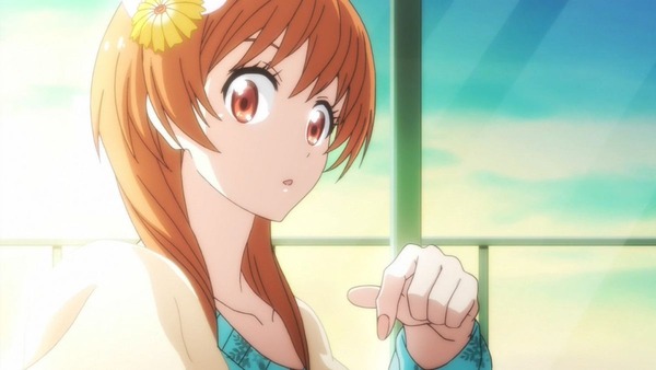 ニセコイ：(2期) (28)