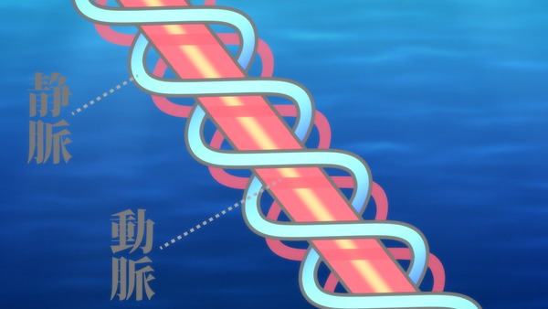 「セントールの悩み」2話 (48)