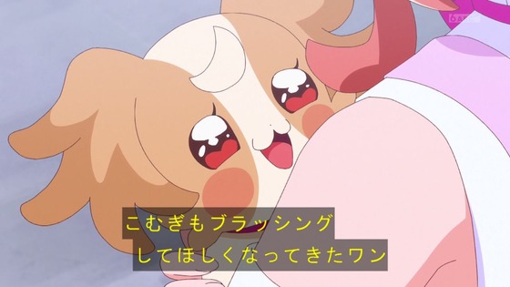 「わんだふるぷりきゅあ!」わんぷり 33話感想 (54)