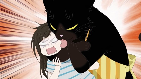 「デキる猫は今日も憂鬱」5話感想 (7)