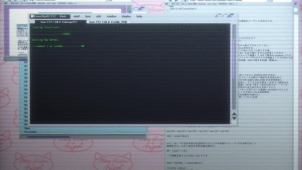 STEINS;GATE(シュタインズ・ゲート) (66)