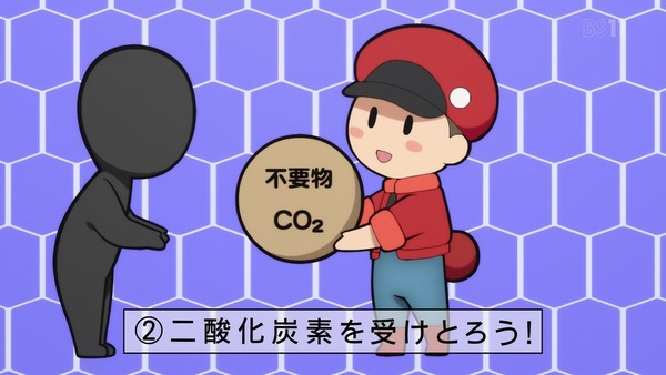 「はたらく細胞」8話感想 (19)