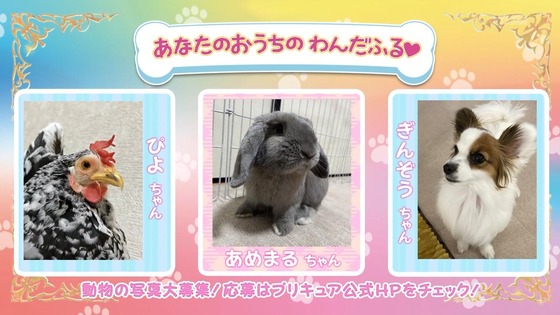 「わんだふるぷりきゅあ!」わんぷり 6話感想 (66)
