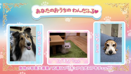 「わんだふるぷりきゅあ!」わんぷり 28話感想 (55)