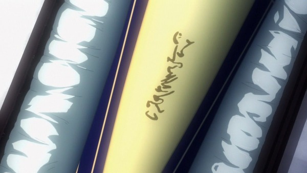 FateZero (28)