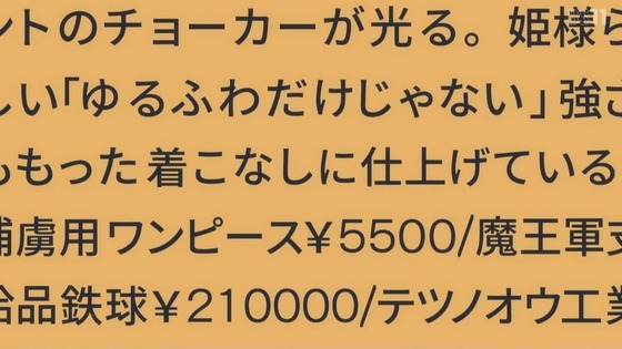 「姫様“拷問”の時間です」24話感想 (2)